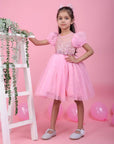 Pink Fairy Tale Short Dress