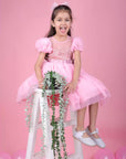 Pink Fairy Tale Short Frock Dress