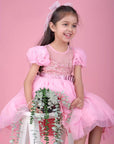 Pink Fairy Tale Short Frock Dress