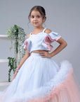 Two Piece Blue and Rose Pink Soft Net Skirt and Top Dress