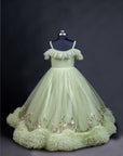 Dry Pista Color Frilled Gown