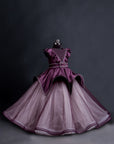 Maroon Princess Party Wear Gown